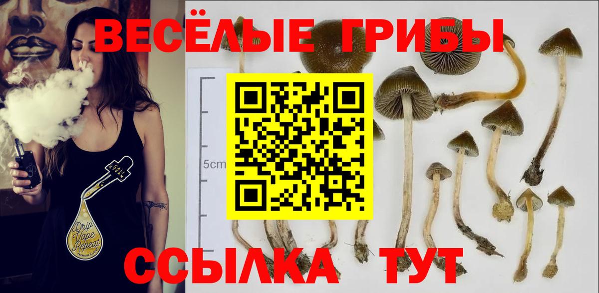 Якутск  Галлюциногенные грибы Cubensis  Вход с VPN 